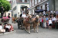 IMG_6147 (2) 